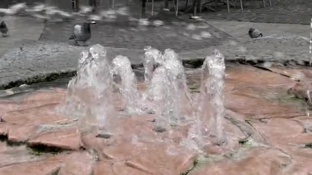 Interesting Fountain in Slow Motion. — Stock Video