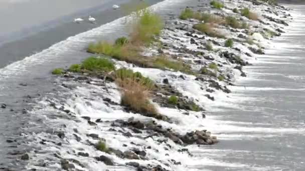 Boy farkı Nehri üzerinde. Eşik. — Stok video