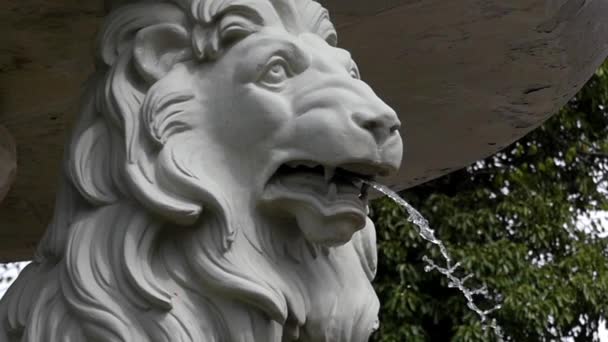 Beautiful Head of Lion in the Mountain. Fountain. — Stock Video