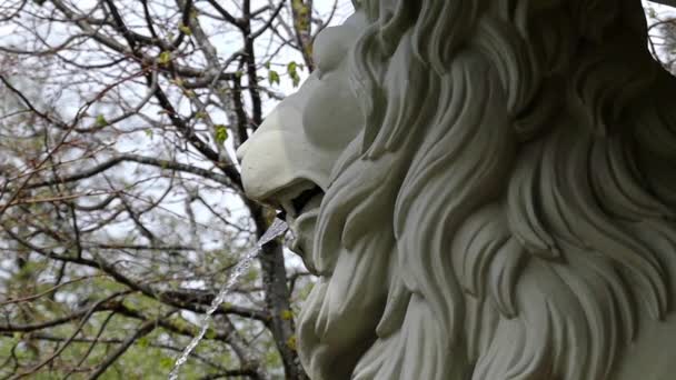 Schöner Löwenkopf im Berg. Brunnen. — Stockvideo