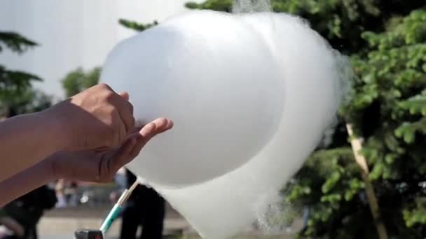 Préparation de Cotton Candy in Slow Motion. l'Action se déroule dans le Parc . — Video