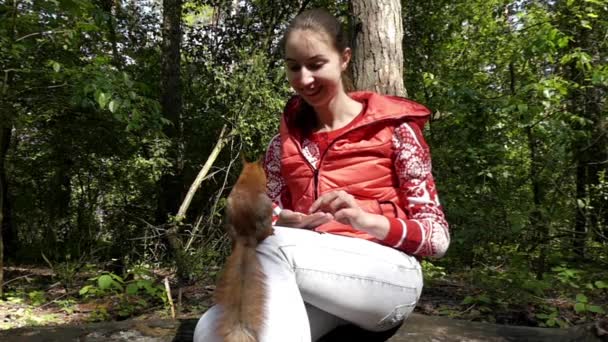 Flicka matar en ekorre, som sitter i hennes knä. Slow Motion. — Stockvideo