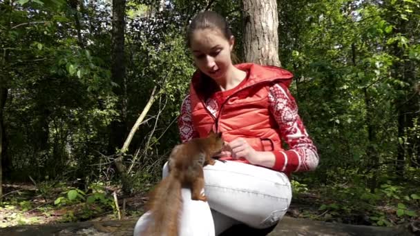 Meisje voedt een eekhoorn, die op haar schoot zit. Slow Motion. — Stockvideo