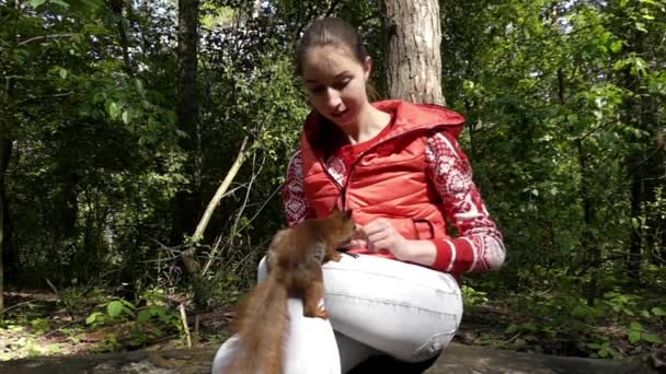 Flicka matar en ekorre, som sitter i hennes knä. Slow Motion. — Stockvideo