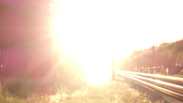 Красива дівчина довговолосий використовує телефон на заході сонця. — стокове відео