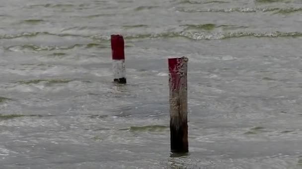 Bei starkem Wind und schlechtem Wetter plätschert das Wasser auf dem See. Das Wasser klebt an zwei Stöcken. Zeitlupe. — Stockvideo