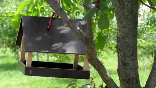Alimentador de pájaros de madera para girar en el viento . — Vídeo de stock