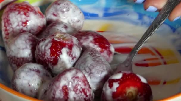 La Cuchara Previene las Fresas Con la Crema . — Vídeo de stock