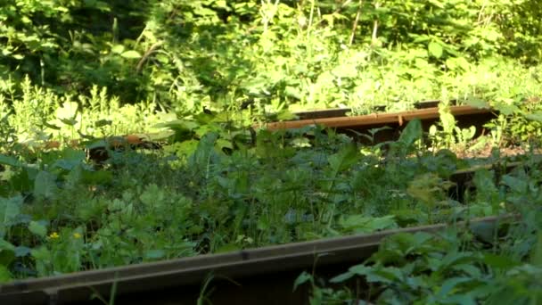 Hjulen på spårvagnen passerar i Slow Motion närbild. — Stockvideo