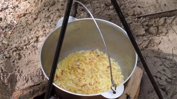 Gotowania cebuli w puli. — Wideo stockowe