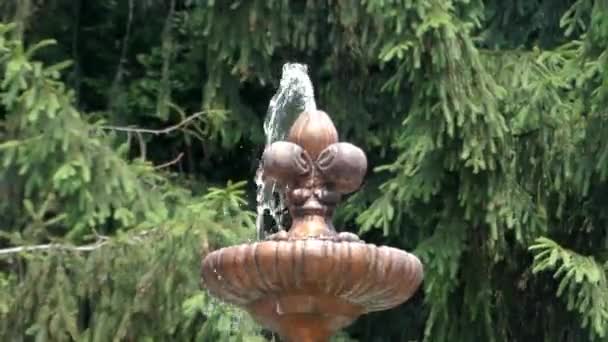 Le flux d'eau de la fontaine en marche . — Video