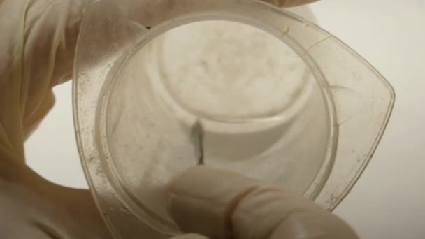 Action en laboratoire : les mains préparées et agitées le liquide clair . — Video