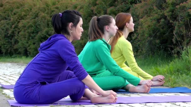 Un gruppo di persone che fanno yoga in natura. Flessione e stiramento delle gambe . — Video Stock