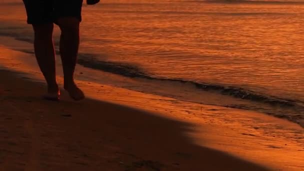 Fötter som promenader längs havet i solnedgången. — Stockvideo