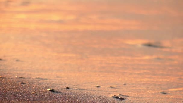 Golven van de zee bij zonsondergang in Slow Motion. Gouden tijd. — Stockvideo