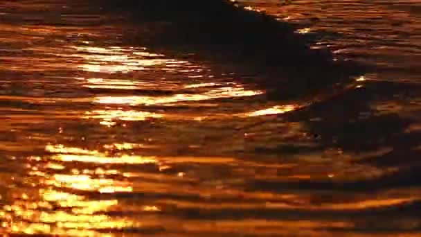 Golven van de zee bij zonsondergang in Slow Motion. Gouden tijd. — Stockvideo