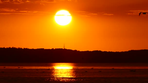 Increíble puesta de sol en el mar en cámara lenta . — Vídeo de stock