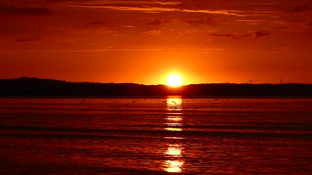 Coucher de soleil incroyable sur la mer. — Video