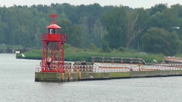 Červený maják na pobřeží. Rackové létají jím v pomalém pohybu. — Stock video