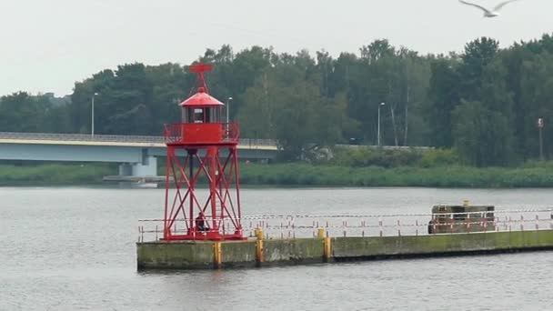 Красный маяк на берегу. Сигуллы летят мимо него в медленном движении . — стоковое видео