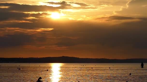 Sziluettje Running Girl naplementekor a tengeren. Lassított mozgás. — Stock videók