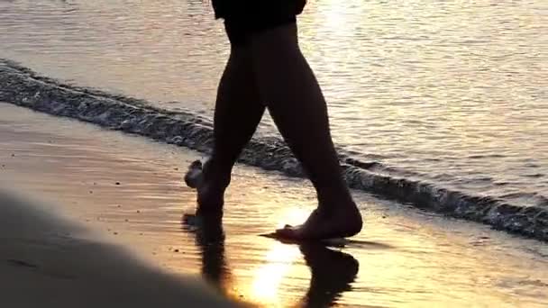 La silueta de sus piernas en cámara lenta caminando en la orilla del océano durante la puesta del sol . — Vídeo de stock