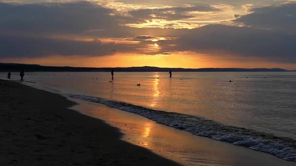 Strand bij zonsondergang in slow motion. Zwaaiende zee en vliegende meeuwen aan de hemel. — Stockvideo