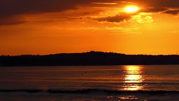 Strand bij zonsondergang in slow motion. Zwaaiende zee en vliegende meeuwen aan de hemel. — Stockvideo