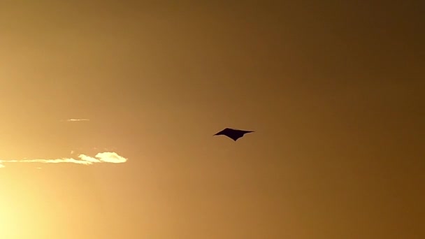 A Kite Hovers in the Sky at Sunset in Slow Motion — Stock Video