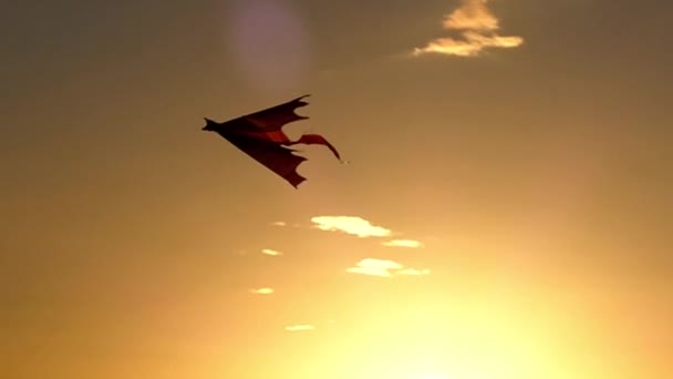 Un cerf-volant plane dans le ciel au coucher du soleil au ralenti — Video