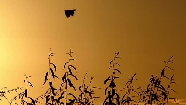 Papírový drak vznáší na obloze při západu slunce v pomalém pohybu — Stock video