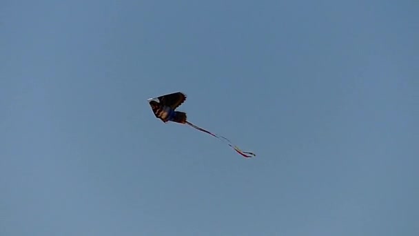 Un cerf-volant flottant dans le ciel bleu. Mouvement lent . — Video