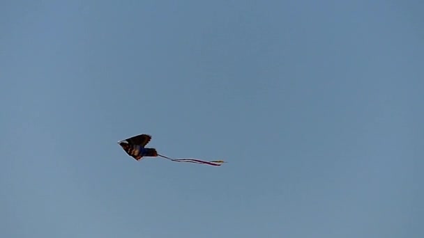 一只风筝在蓝蓝的天空中漂浮。慢动作. — 图库视频影像