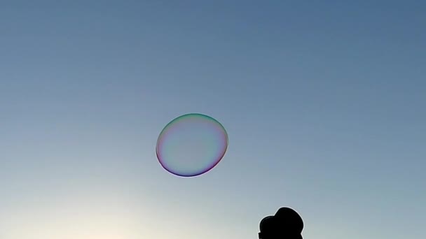 Erstaunliche und große Seifenblasen fliegen am Himmel. Zeitlupe. — Stockvideo