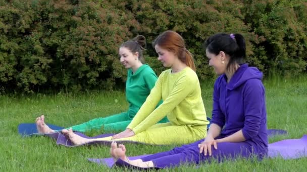 Um grupo de pessoas fazendo Yoga na natureza. Meninas estão sorrindo e sacudindo pés . — Vídeo de Stock