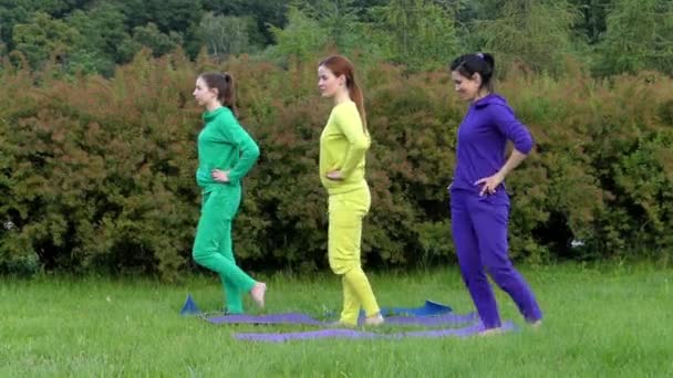 Drie mooie meisjes doen sporten in de natuur. Zij draai tegelijkertijd een been. — Stockvideo