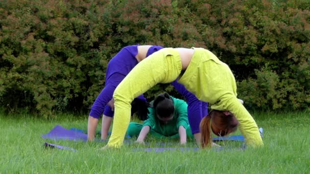 Um grupo de pessoas fazendo Yoga na natureza. Eles fazem Poses Bridge e depois disso se divertindo e acenando com as mãos . — Vídeo de Stock