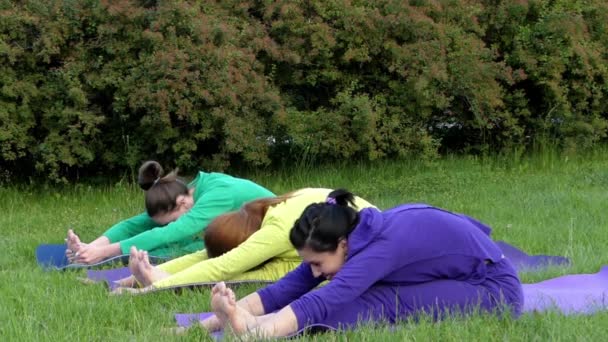 Un grupo de personas que hacen yoga en la naturaleza . — Vídeos de Stock