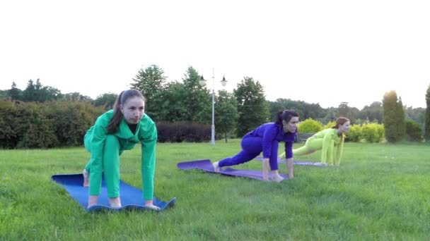 Yoga en el Parque. Tres chicas en el deporte desgaste piernas estiradas . — Vídeos de Stock