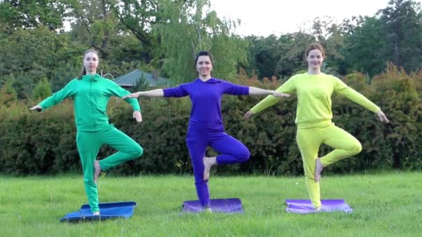 Meninas jovens e bonitas fazendo Yoga na natureza. Dose da árvore . — Vídeo de Stock