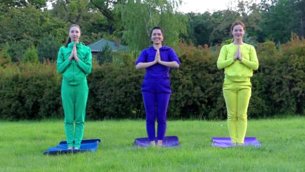 Yoga i parken. Tre flickor i Sport slitage att göra krigare utgör. — Stockvideo