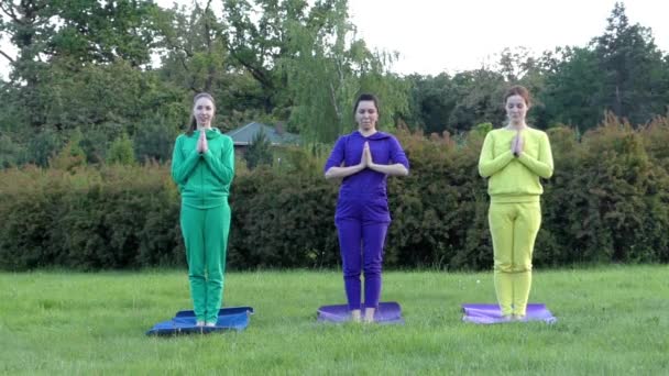 Young and Beautiful Girls Doing Yoga in Nature. Pose of the Tree. — Stock Video