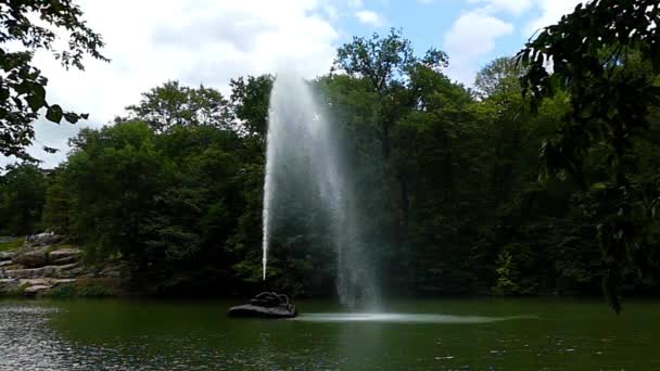 Fontein in de vorm van een slang uitgevoerd in Slow Motion. — Stockvideo