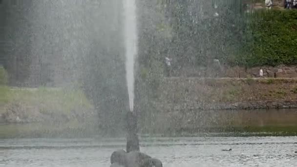 Fountain in the Form of a Snake Running in Slow Motion. — Stock Video