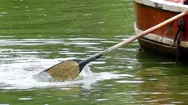 Весло веслування води . — стокове відео