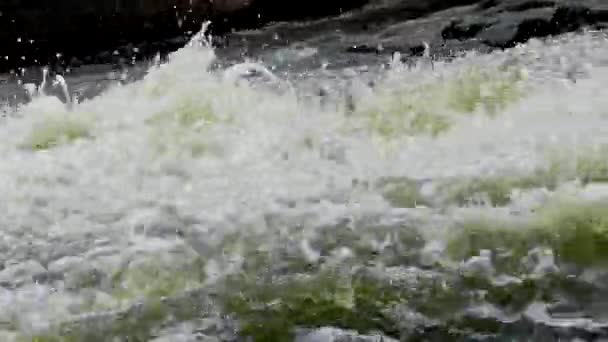 Rapid Stream of a Mountain River. Salpicaduras de agua de cerca . — Vídeo de stock