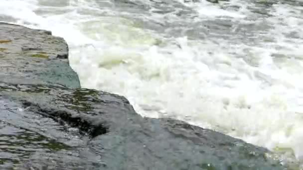 El flujo de agua de un río de montaña . — Vídeo de stock