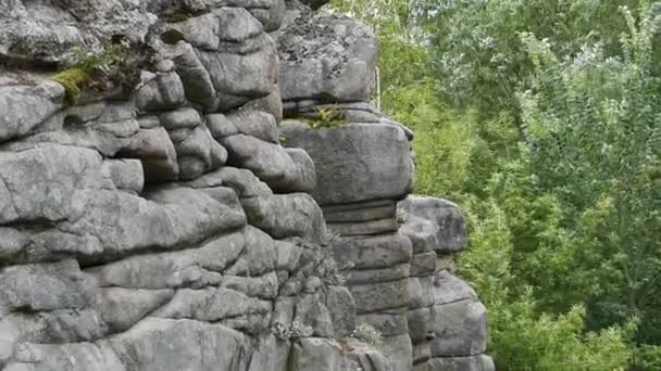 Die Landschaft der Schlucht und des Gebirgsflusses. buki village, ukraine. — Stockvideo