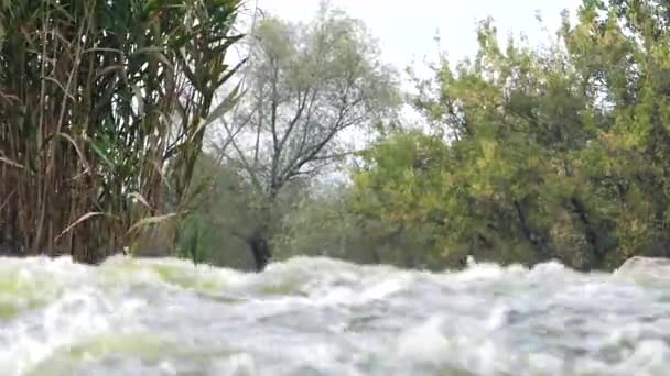 Elementul apei: Mountain Stream Water. Frumusețea Naturii . — Videoclip de stoc