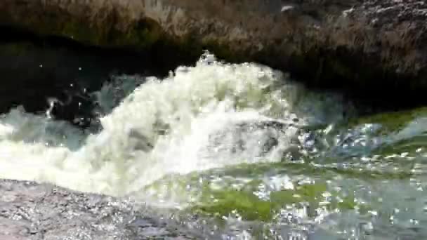 Grov och snabb ström av en Mountain River. Strukturen på vattnet. — Stockvideo